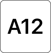 Chip A12
